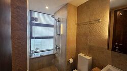 Holland Link (D10), Terrace #486481311